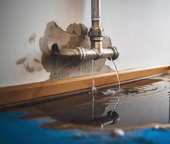 Professional Water Damage Restoration Experts in Richmond, KY — Fast, Reliable & Certified